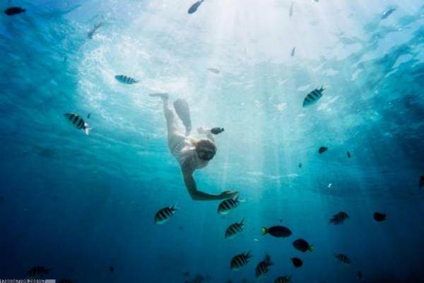 深圳体育馆瑜伽培训班课程特色剖析